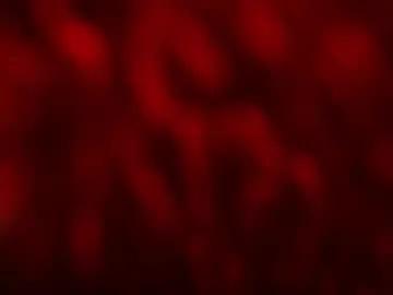 kloelamaravilla18 — OIL SHOW TONIGHT ... @GOAL 25 SKIRT OFF @GOAL 40 #latina #bigass #bigboobs #curvy #squirt - Multi-Goal :  reach goal 40 and find out #Lovense #Ohmibod #interactivetoy